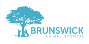 Brunswick Animal Hospital logo